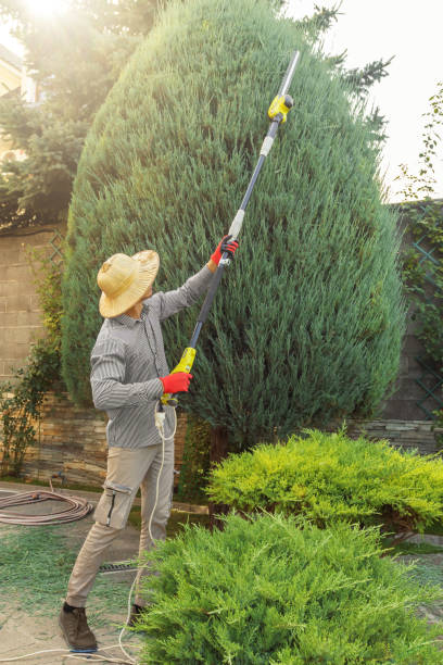Best Soil Testing and Treatment  in Montara, CA